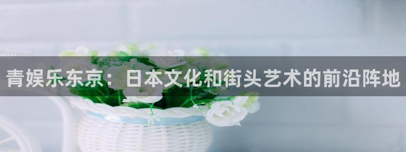 琳琅娱乐：青娱乐东京：日本文化和街头艺术的前沿阵地