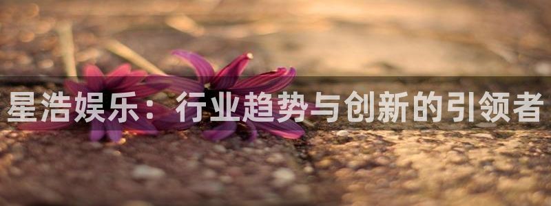 琳琅娱乐：星浩娱乐：行业趋势与创新的引领者