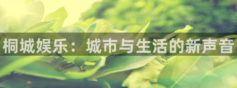 琳琅娱乐注册：桐城娱乐：城市与生活的新声音