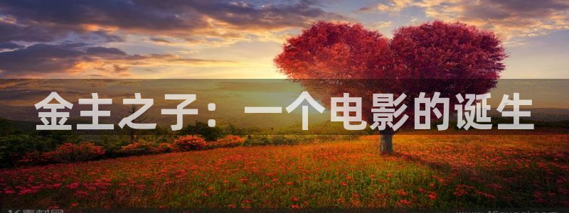 琳琅娱乐注册：金主之子：一个电影的诞生