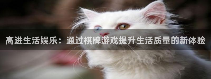 琳琅娱乐：高进生活娱乐：通过棋牌游戏提升生活质量的新体验