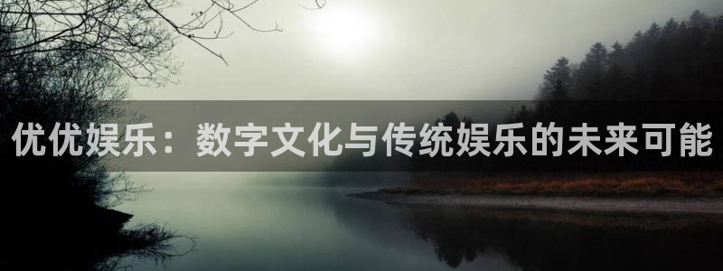 琳琅娱乐注册：优优娱乐：数字文化与传统娱乐的未来可能