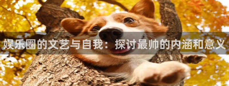 琳琅娱乐：娱乐圈的文艺与自我：探讨最帅的内涵和意义