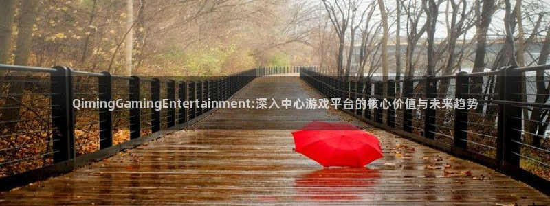 琳琅娱乐注册：QimingGamingEntertainment:深入中心游戏平台的核心价值与未来趋势