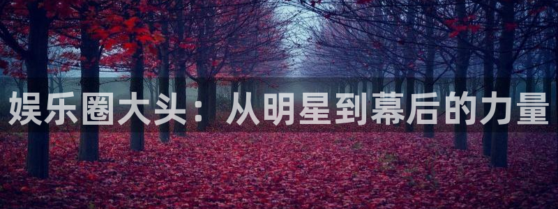 琳琅娱乐：娱乐圈大头：从明星到幕后的力量