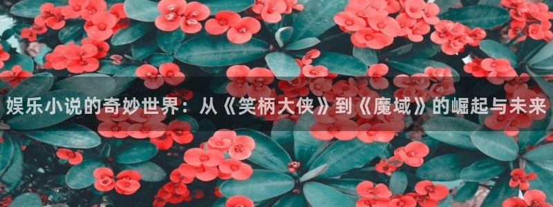 琳琅娱乐注册：娱乐小说的奇妙世界：从《笑柄大侠》到《魔域》的崛起与未来