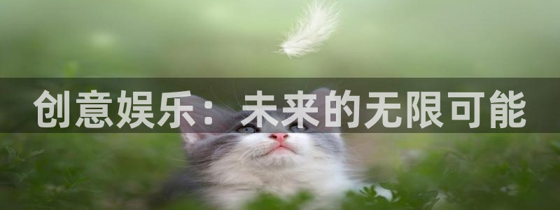 琳琅娱乐注册：创意娱乐：未来的无限可能